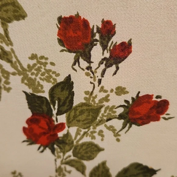 💕REFORMATION💕 Jourdan Dress ~ Regency Floral Print Medium